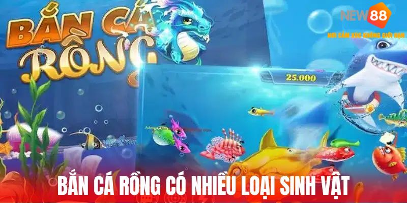 Bắn cá rồng có nhiều loại sinh vật